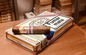 Read more about the article La Gloria Cubana Serie D Nº5 Regional Edition Spain