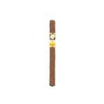 Cohiba Panetelas - Single Cohiba Panetelas