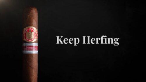 Read more about the article Saint Luis Rey Herfing ER Middle East