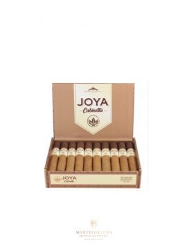 Joya de Nicaragua Cabinetta Robustos