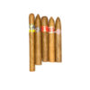january Large Cigar Sampler