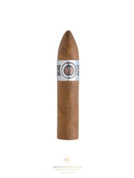 Vegafina F2 Short Belicosos (15)